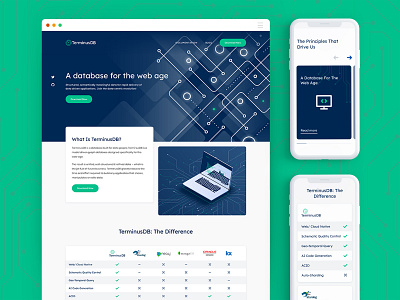 TerminusDB blue branding data design green illustration tech technical technology ui ux vector website