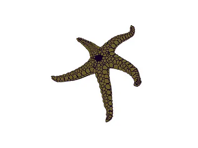 UNDER THE SEA artwork creative creature digital digital art editorial editorial art editorial illustration fashion fashion illustration illustration illustrator magazine nature pattern starfish vector