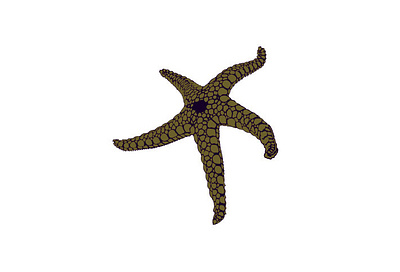 UNDER THE SEA artwork creative creature digital digital art editorial editorial art editorial illustration fashion fashion illustration illustration illustrator magazine nature pattern starfish vector
