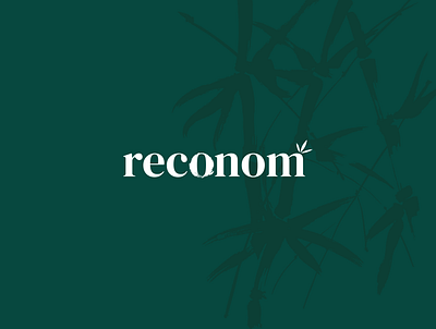 Reconom bamboo branding eco export import logo