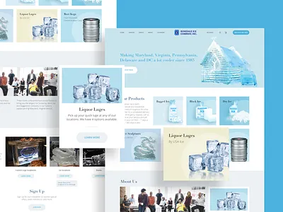 USA Ice Web Design interaction ui ui ux usa ice web design