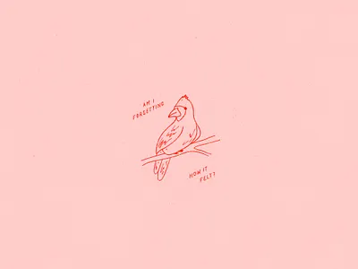 Inktober 01 - Ring bird cardinal flat illustration illo illustration inktober inktober2019 ipad ipadtober line art line illustration lyrics monotone pinegrove procreate ring rings pinegrove simple illustration small illustration vectober