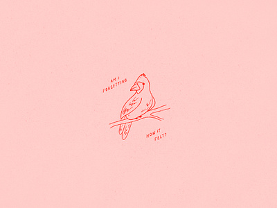 Inktober 01 - Ring bird cardinal flat illustration illo illustration inktober inktober2019 ipad ipadtober line art line illustration lyrics monotone pinegrove procreate ring rings pinegrove simple illustration small illustration vectober