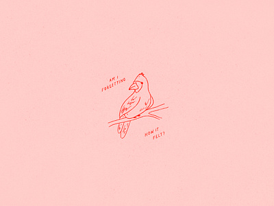 Inktober 01 - Ring bird cardinal flat illustration illo illustration inktober inktober2019 ipad ipadtober line art line illustration lyrics monotone pinegrove procreate ring rings pinegrove simple illustration small illustration vectober