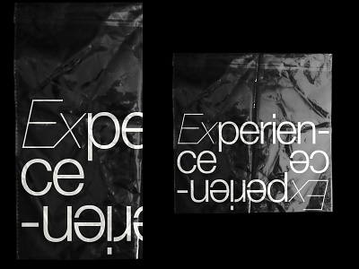 Experience branding experience helvetica helvetica neue inspiration logo logotype logotype design logotype designer logotypedesign logotypes plastic type type design typedesign typeface typo typographic typography typography logo