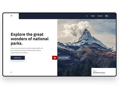 Natural park - website concept adobexd clean design grafic design interaction design minimal nature nature photography photoshop productdesign typography ui uidesign ux web website