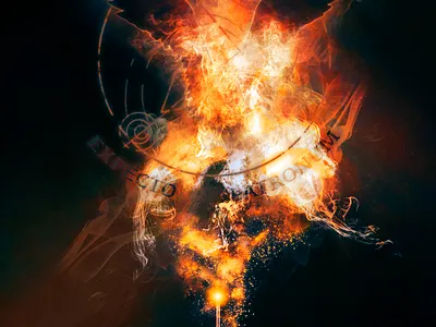 Expecto Patronum - Phoenix expecto patronum harrypotter magic phoenix poster