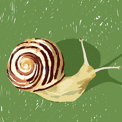 01 • Snail 🐌 illustration inktober inktober2019 snail