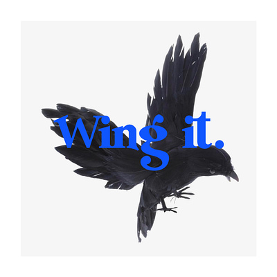 Wing it bird design lettering logo type typography wing