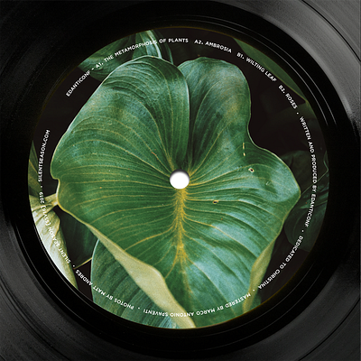 Edanticonf ~ Silent Season 12" record vinyl vinyl record