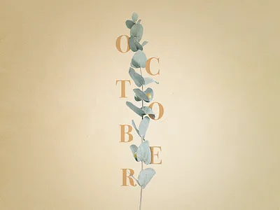 October adobe photoshop bodoni concept design font graphic design month october plant serif texture typography