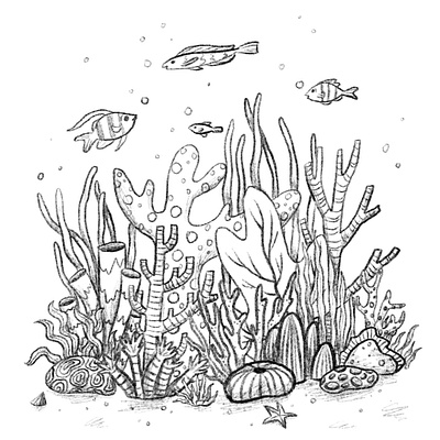 Coral Sketch book illustration character design characters childrens book childrens book illustration childrens illustration coral reef design drawing fish funky illustration illustration art illustrator kidlit kidlitartist ocean playful procreate sketch