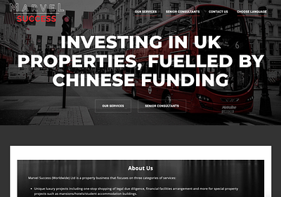 Marvel Success Site branding design graphic design web website