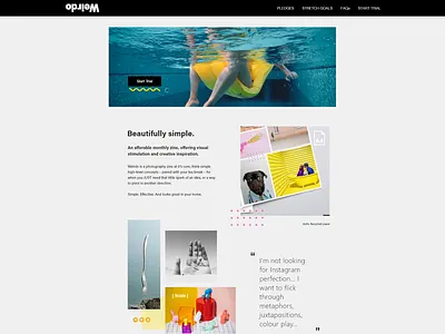 Weirdo Project #1 free magazine start trial starup trial uiux uiuxdesign