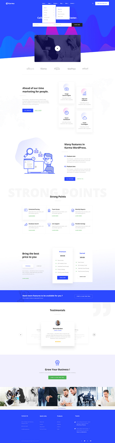 Karma - SEO Marketing agency business seo web design webdevelopment wordpress wordpress design wordpress development