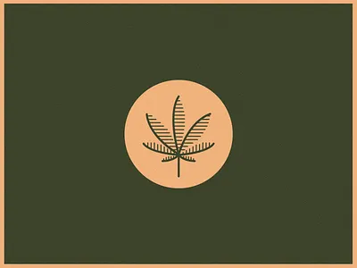 Cannabis leaf brand design branding cannabis cannabis branding cannabis design cannabis logo design icon identity illustration leaf logo