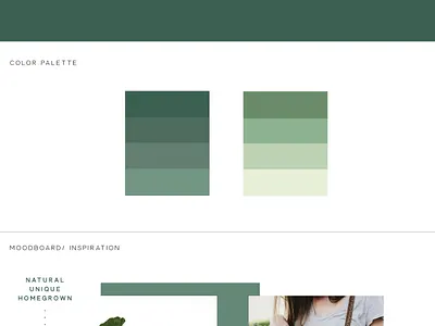 Fiddle Leaf Plant Nursery branding garden gardening graphic design graphic design logo illustration logo logo design logo design concept plant plant illustration plant logo planter plants