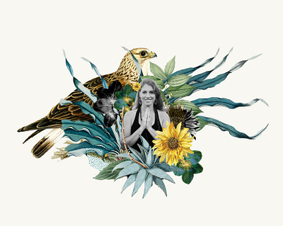 Collage Experiment collage design hawk plants yoga