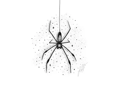 Spider animal animal art animal illustration drawing illustration inktober inktober2019 procreate spider
