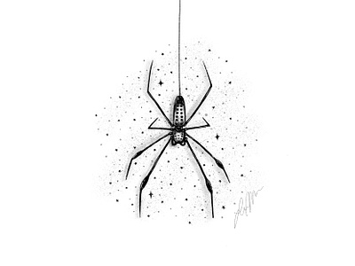 Spider animal animal art animal illustration drawing illustration inktober inktober2019 procreate spider