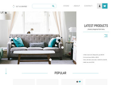 Furniture store design ui ux web