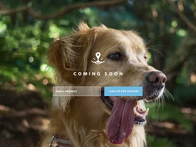 sniff landing page design