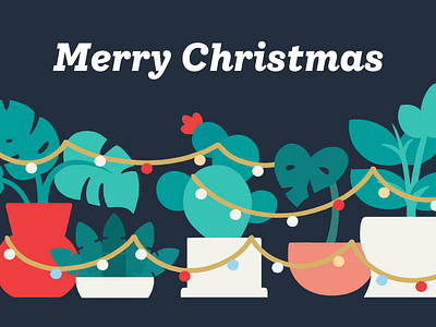 Plants & Lights christmas gift card greenery holiday lights plant plants