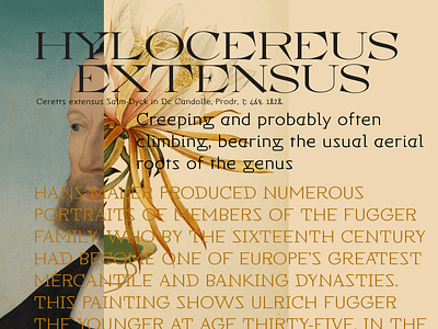 Samizdat + Panetteria font type typeface typography
