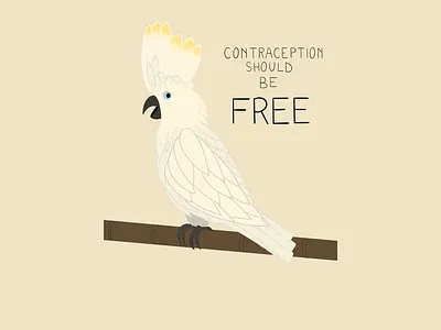 PROTECT YOUR COCK-ATOO - TropicalBirds4RepJustice birds cartoon cockatoo drawing empowerment feminine design feminine logo feminism feminist feminist art girl illustration hand drawing handmade illustration logo politics reproductive rights tropical women empowerment women in illustration