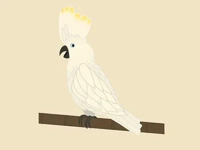 Tropical birds #2 animal illustration animal logo bird cartoon children art childrens book childrens illustration cockatoo design drawing girl illustration hand drawing handmade illustration logo nature illustration wallpaper women women in design women in illustration