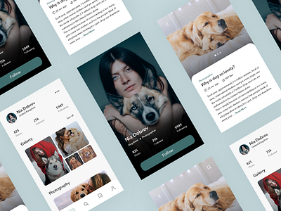 Blog Mobile App UI beautiful blog blogger coloful creative design dogs minimal mobile app photographer ui ux