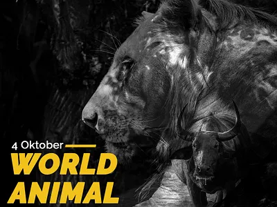 World Animal Day post animal design digital imaging typography