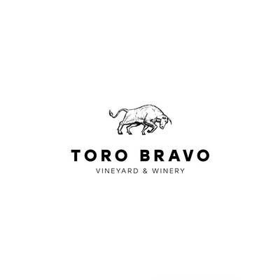 Toro Bravo logo design by designpeak attractive best clean cool design designpeak icon identity logo logodesign logodesigner minimal logo minimal logo design minimal logos typography vector