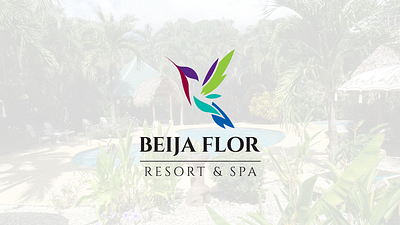 Beija Flor: Resort & Spa branding logo typography vector