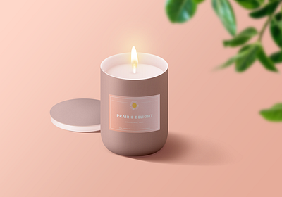 Sweet Melts - Wax Candle Mockup brand design brand identity branding and identity branding design branding identity mockup design mockup psd package design