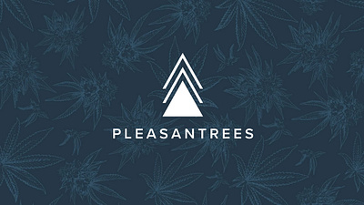 Pleasantrees Digital Design Study branding design email marketing graphic design illustration logo marketing automation sales funnel ui vector