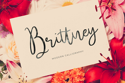 Brittney Font calligraphy font free handlettering handwritten lettering script font typography