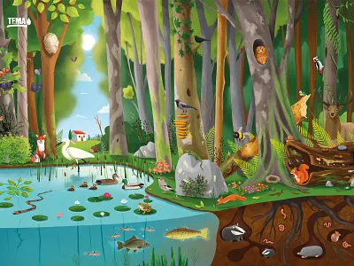 Tema poster🌳2 animals bugs ecosystem editorial education educational farm fish illustraion infographic jungle leaf nature plants poster soil tema trees vegetables water