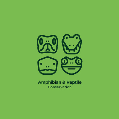 Amphibian and Reptile Branding brand identity branding design illustration logo vector