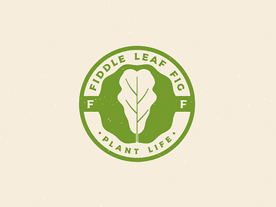 Fiddle Leaf Fig design flat icon identity illustrator lettering logo minimal typography vector
