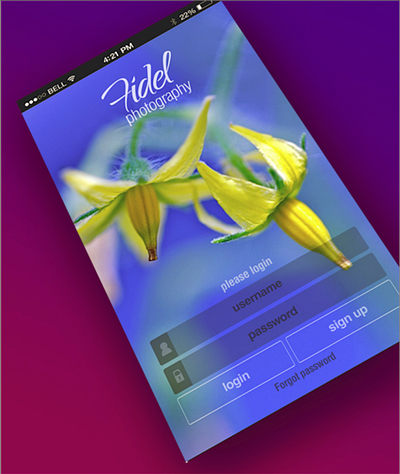 fidel com design photographer ui design