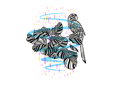 Flower 2d design floral flower icon illustration line lineart lines monochrome parrot procreate