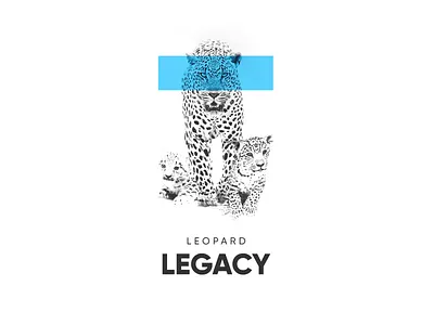 Leopard Legacy animal black and white blue brand branding clean design legacy leopard light minimal minimalistic monochrome simple typography white