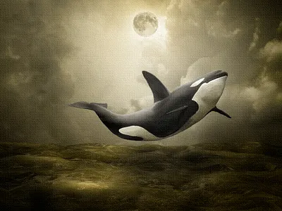 ORQUE affiche compositing design photomanipulation photomontage photoshop poster print psd