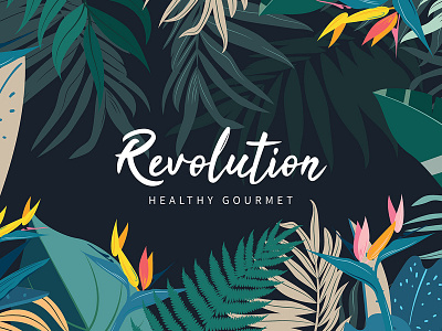 Revolution Healthy Gourmet bojana knezevic branding illustration logo logo mark pastry shop pattern art typography vector visual identity