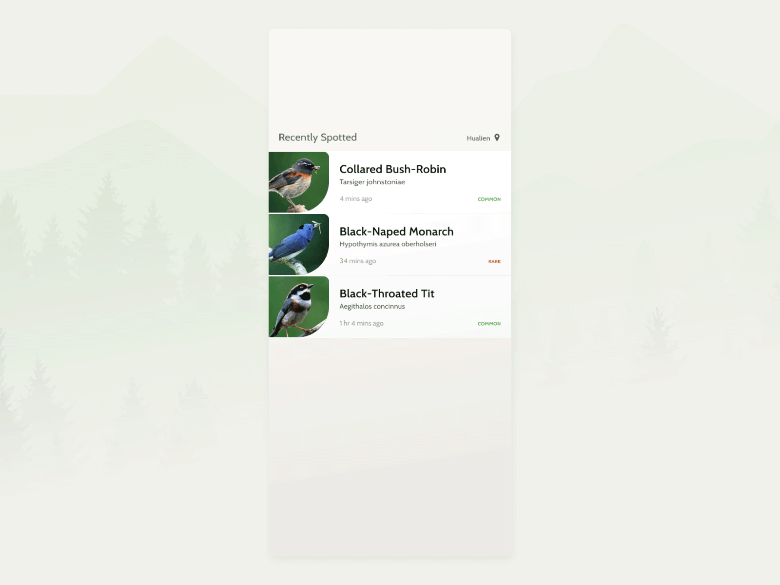 Birdwatcher Spots Bird Swipe Action app birds design location based microinteraction mobile principle app swipe ui ux