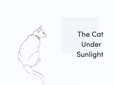 The cat chilling under the sun aftereffects animations cats design illustration interaction sketching