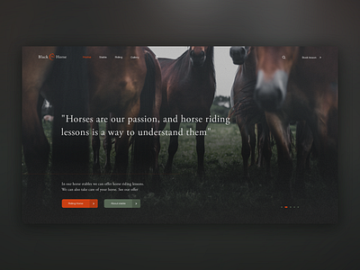 Horse Riding School | Landing Page branding design ecommerce farm hero horses landing landing page landingpage minimalist stud theme ui ux web webdesign wordpress