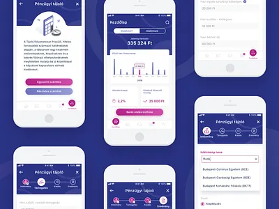 Student loan calculator concept dashboard ui fintech ios mobile statistics ui ux