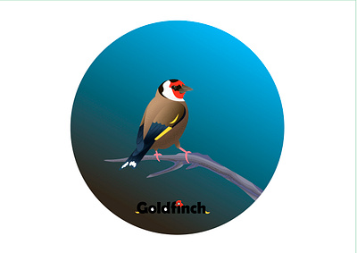 goldfinch character character design design goldfinch illustration illustrator logo vector дизайн иллюстрация